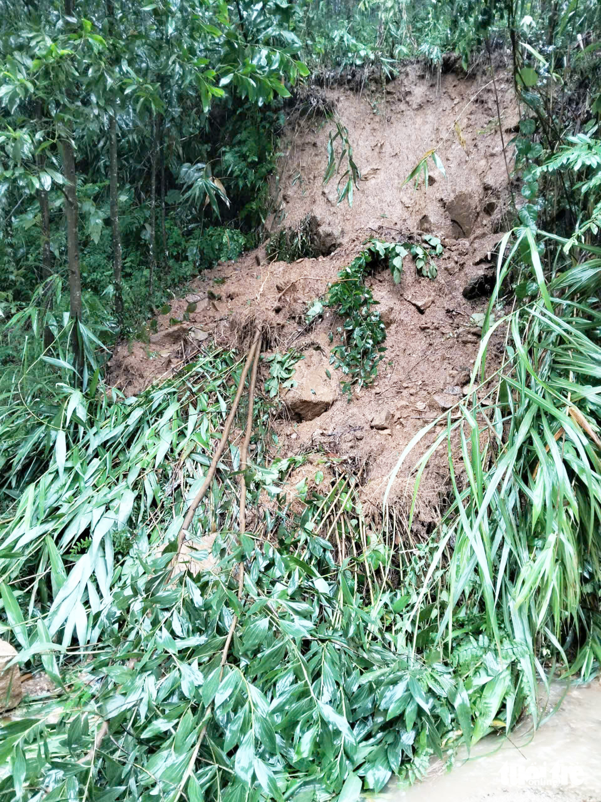 岘港山区大雨,山体滑坡,洪水,达克米4号水电站预计泄洪量增至4500立方米/秒